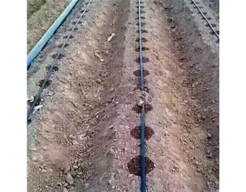 土豆滴灌