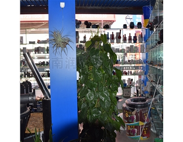 店面内部展示
