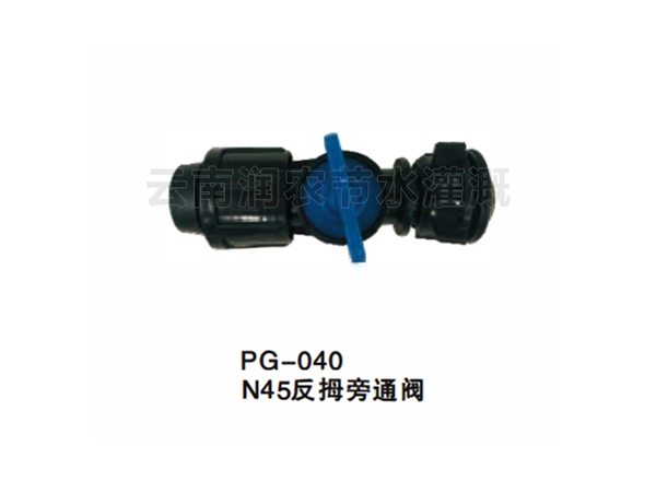 N45反拇旁通阀