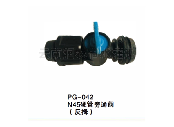 N45硬管旁通阀（反拇）