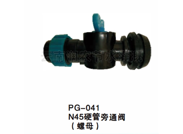 N45硬管旁通阀